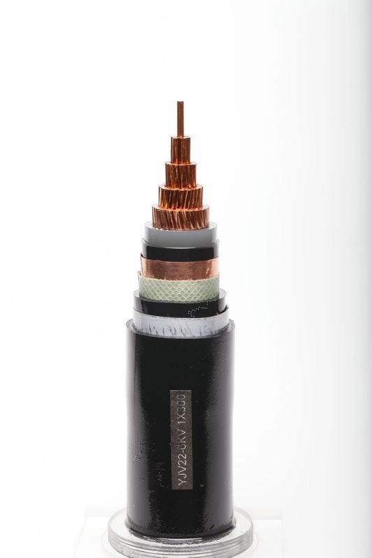 Power Cable كابل الطاقة